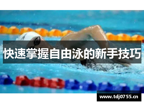 快速掌握自由泳的新手技巧