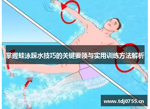 掌握蛙泳踩水技巧的关键要领与实用训练方法解析
