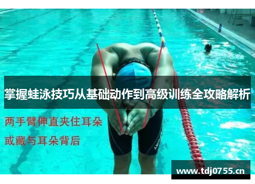 掌握蛙泳技巧从基础动作到高级训练全攻略解析