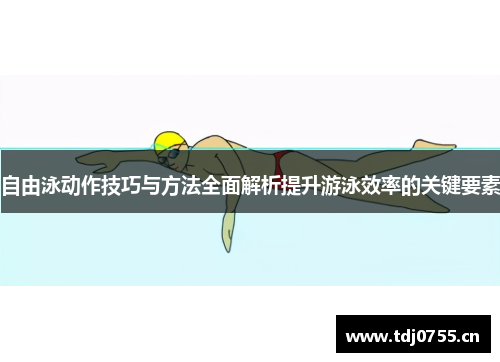 自由泳动作技巧与方法全面解析提升游泳效率的关键要素