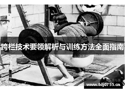跨栏技术要领解析与训练方法全面指南