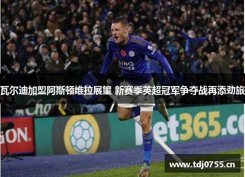 瓦尔迪加盟阿斯顿维拉展望 新赛季英超冠军争夺战再添劲旅